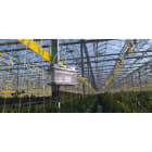 MO EL - MOE308A CRI CRI PCL 80W 230V AGRICOLTURA