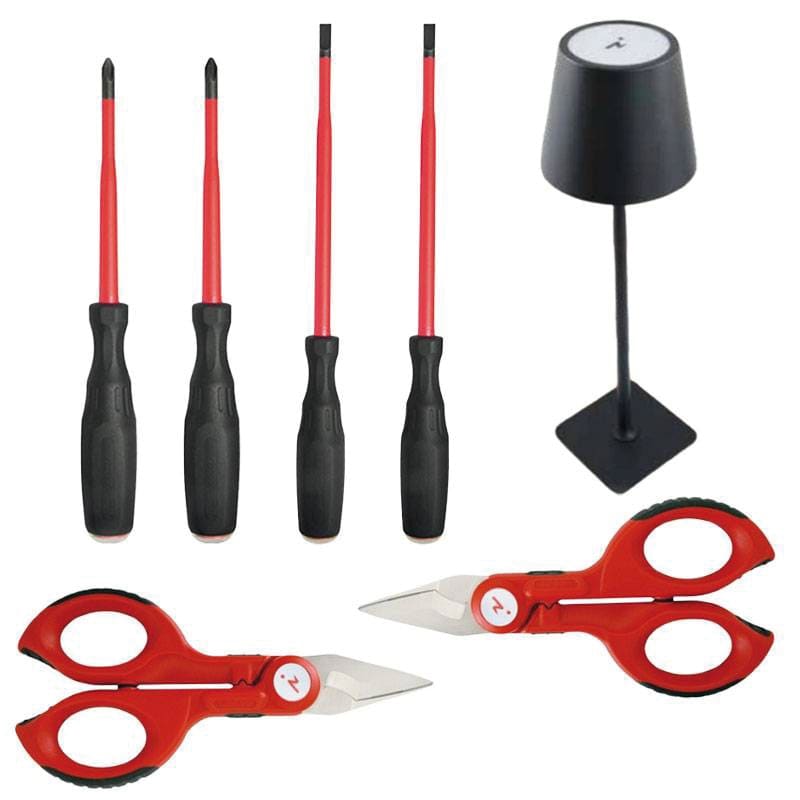 INTERCABLE SRL - INRAO2502 SET 2 FORBICI F1, 4 GIRAVITI SLIM + LAMP