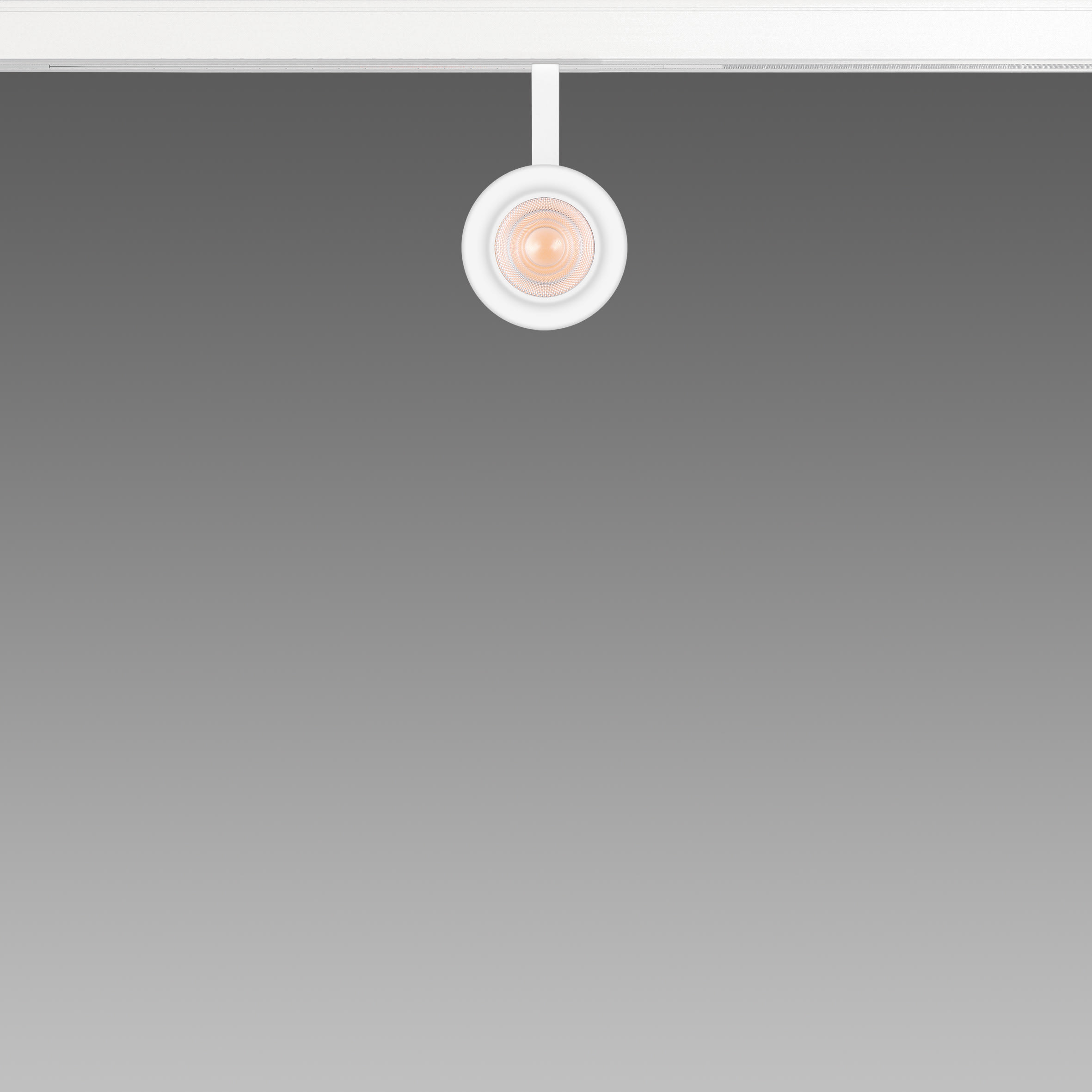 FOSNOVA - FOS2210643168 FOCUS S 50T 1064 COB 14W 4K CLD NER