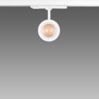 FOSNOVA - FOS2210671268 FOCUS S 70T 1067 COB 23W 4K CLD BIA