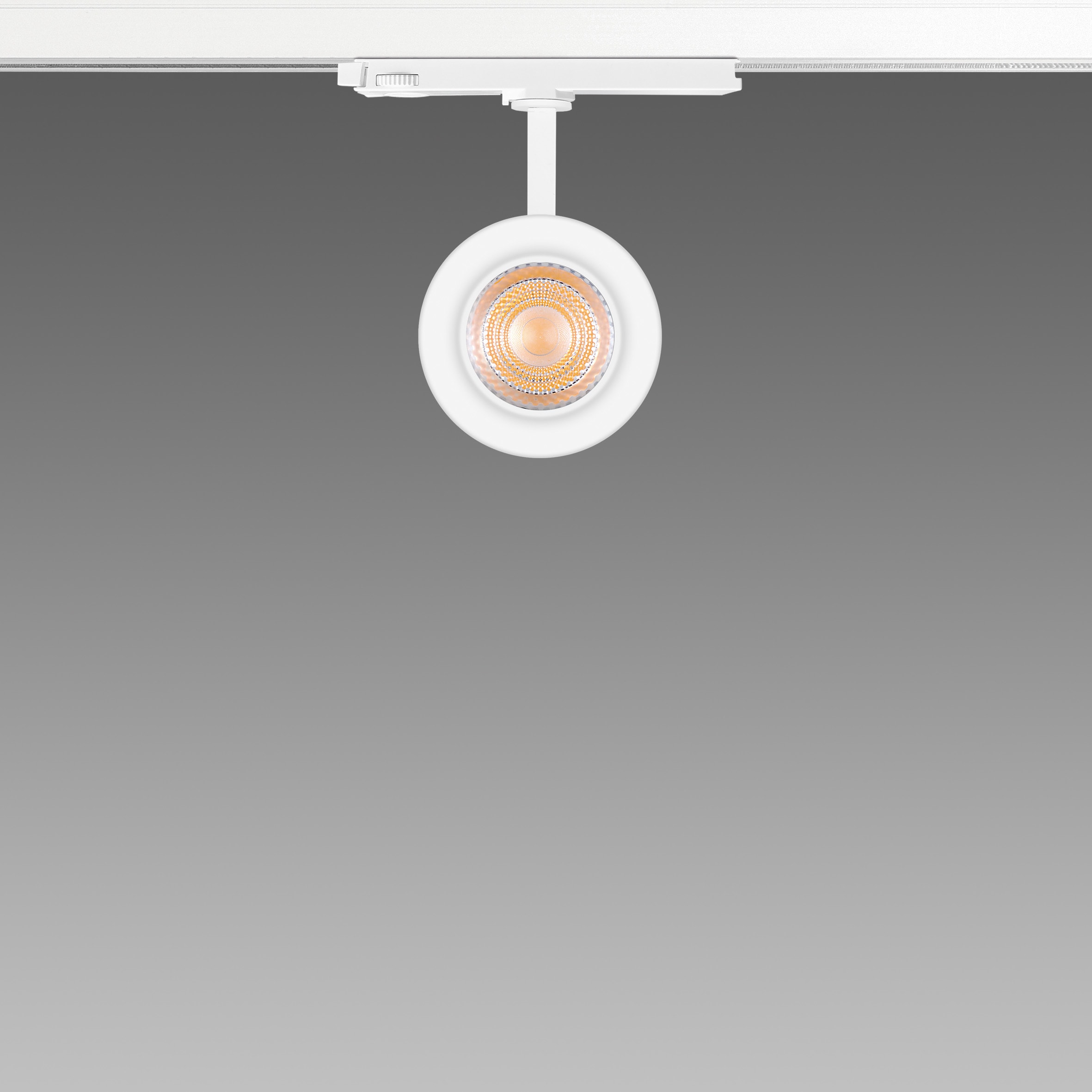 FOSNOVA - FOS2210671100 FOCUS S 70T 1067 COB 23W 3K CLD BIA