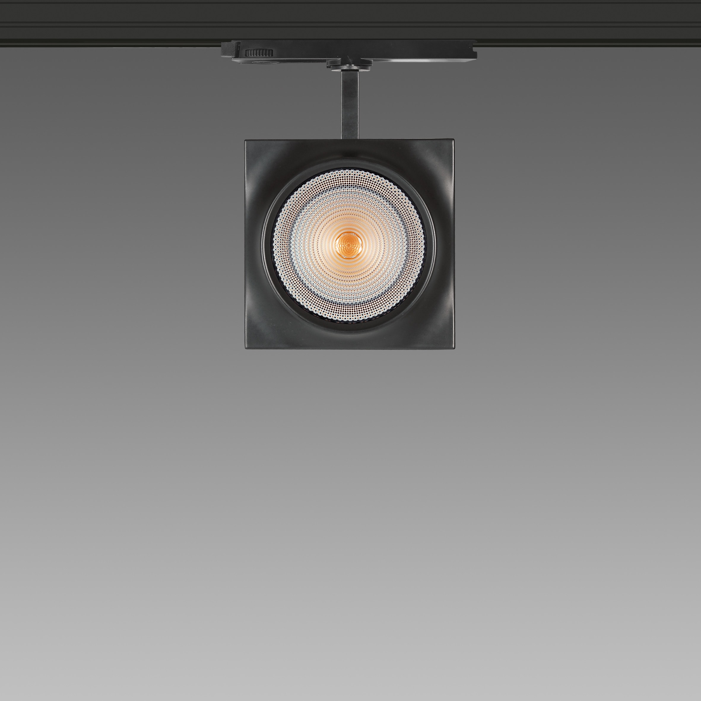 FOSNOVA - FOS2210931200 FOCUS S 111Q 1093 COB 26W 3K CLD BIA