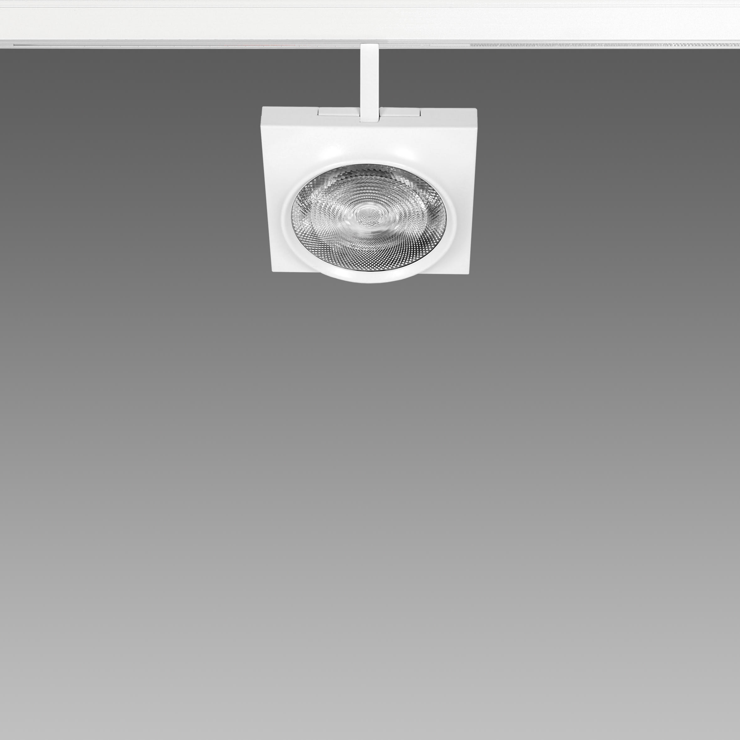 FOSNOVA - FOS2210923000 FOCUS S 111Q 1092 COB 26W 3K CLD NER