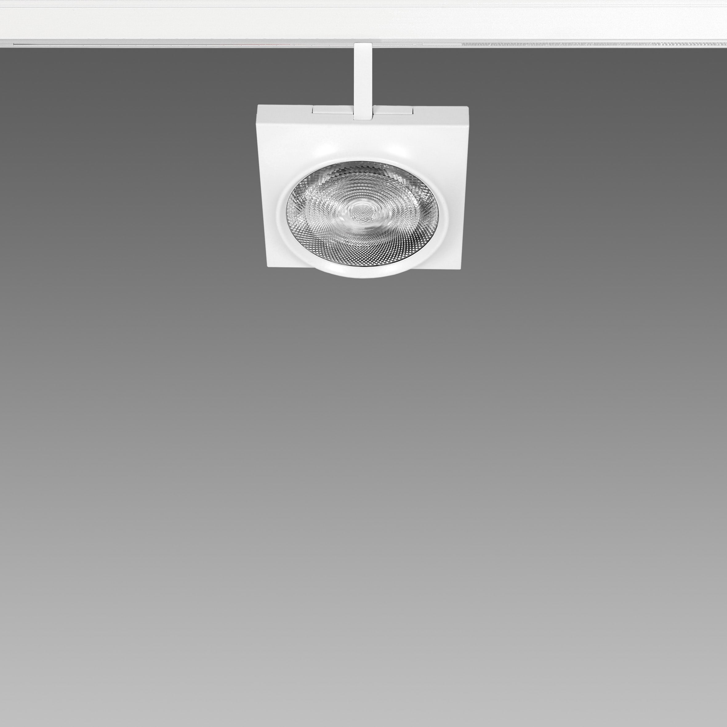 FOSNOVA - FOS2210923200 FOCUS S 111Q 1092 COB 26W 3K CLD NER