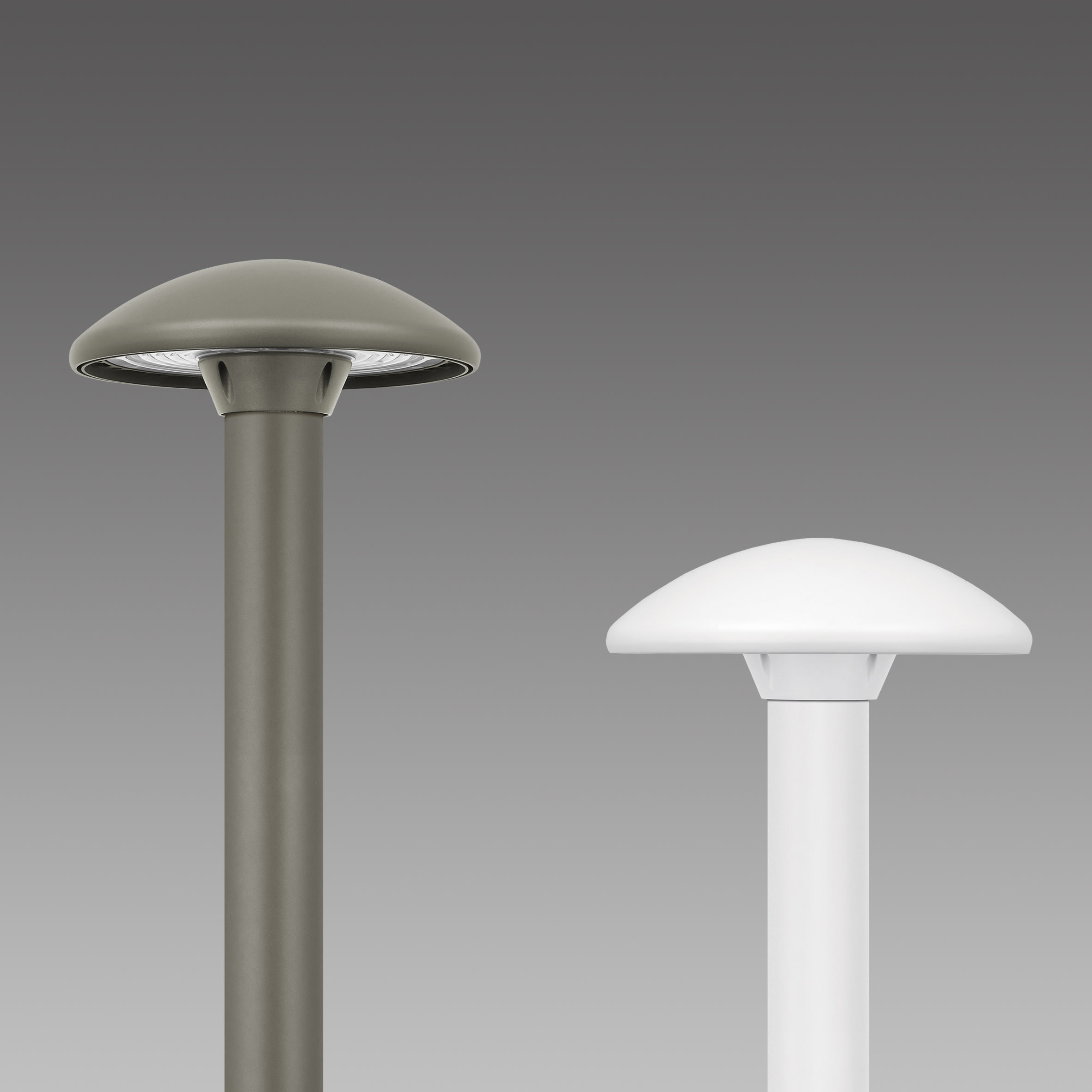 DISANO - DIS42424200 AMALFI 1774 LED 9W CLD BIANCO