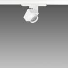 FOSNOVA - FOS2210841000 FOCUS 50Z 1084 COB 14W 3K CLD BIA