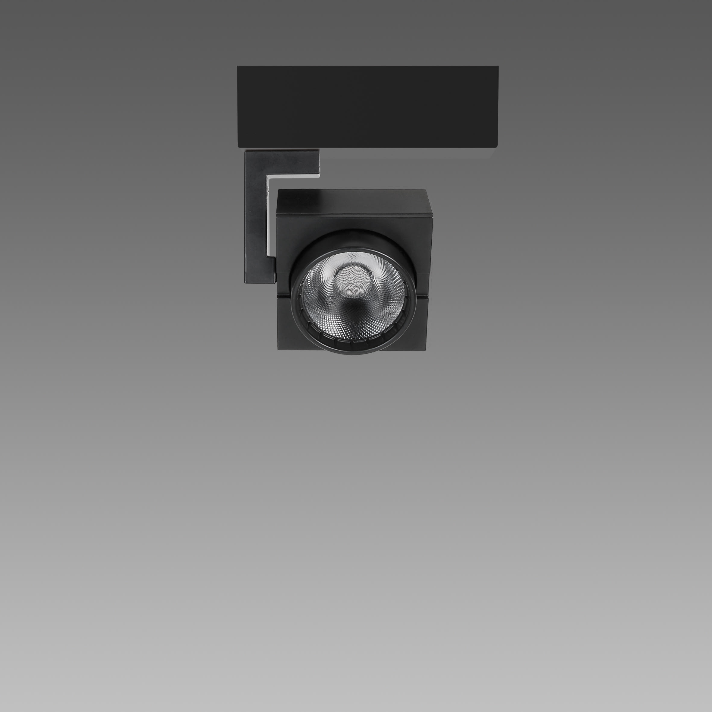 FOSNOVA - FOS2220831200 FOCUS 70L 2083 COB 25W 3K CLD BIA