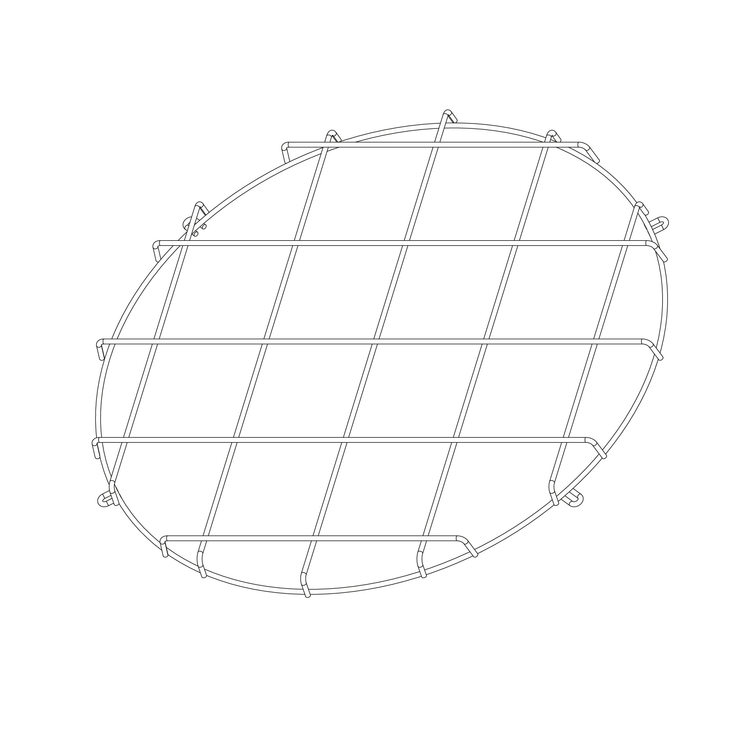 DISANO - DIS99577100 GABBIA DI PROTEZIONE ASTRO 24 NERO