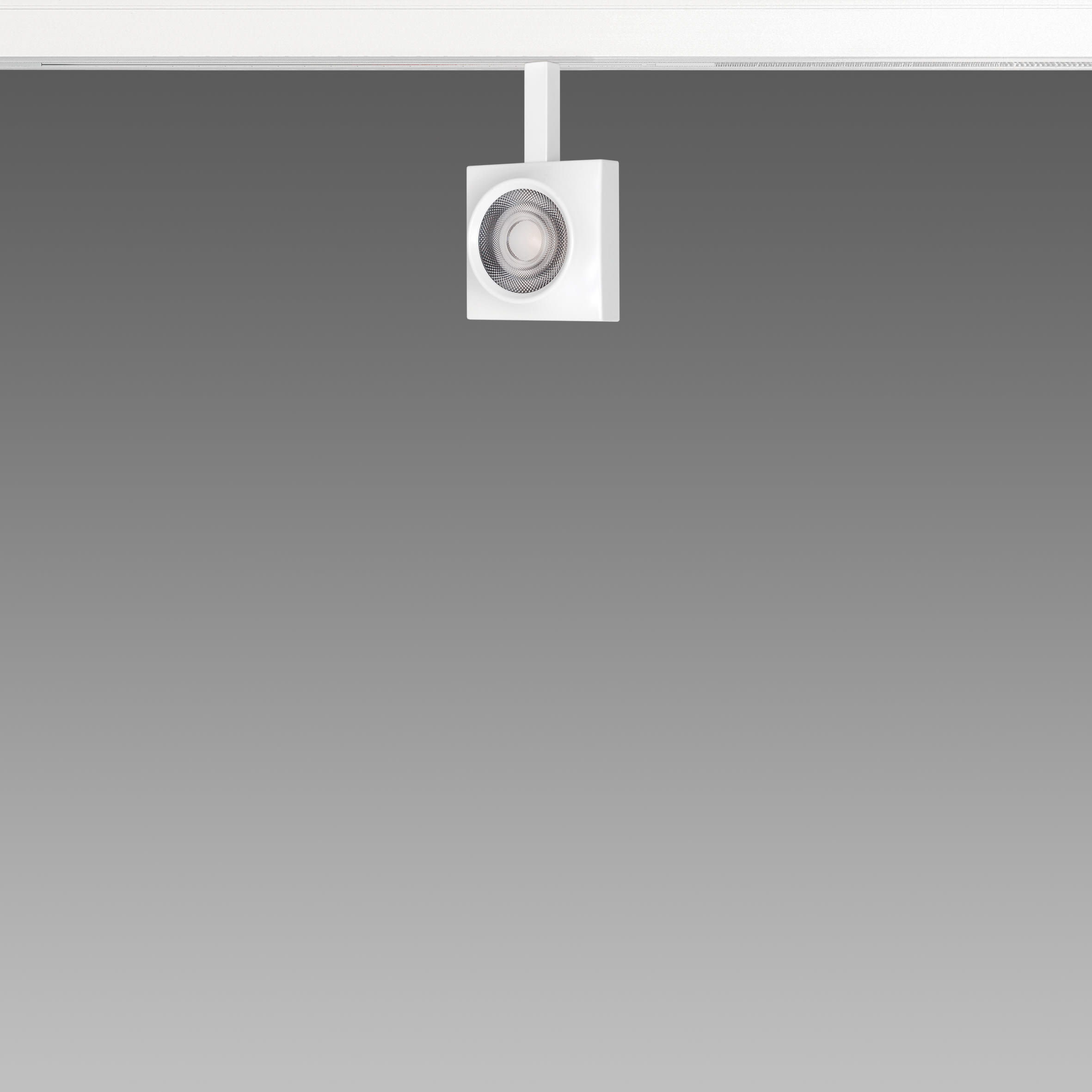 FOSNOVA - FOS2210901068 FOCUS S 50Q 1090 COB 14W 4K CLD BIA