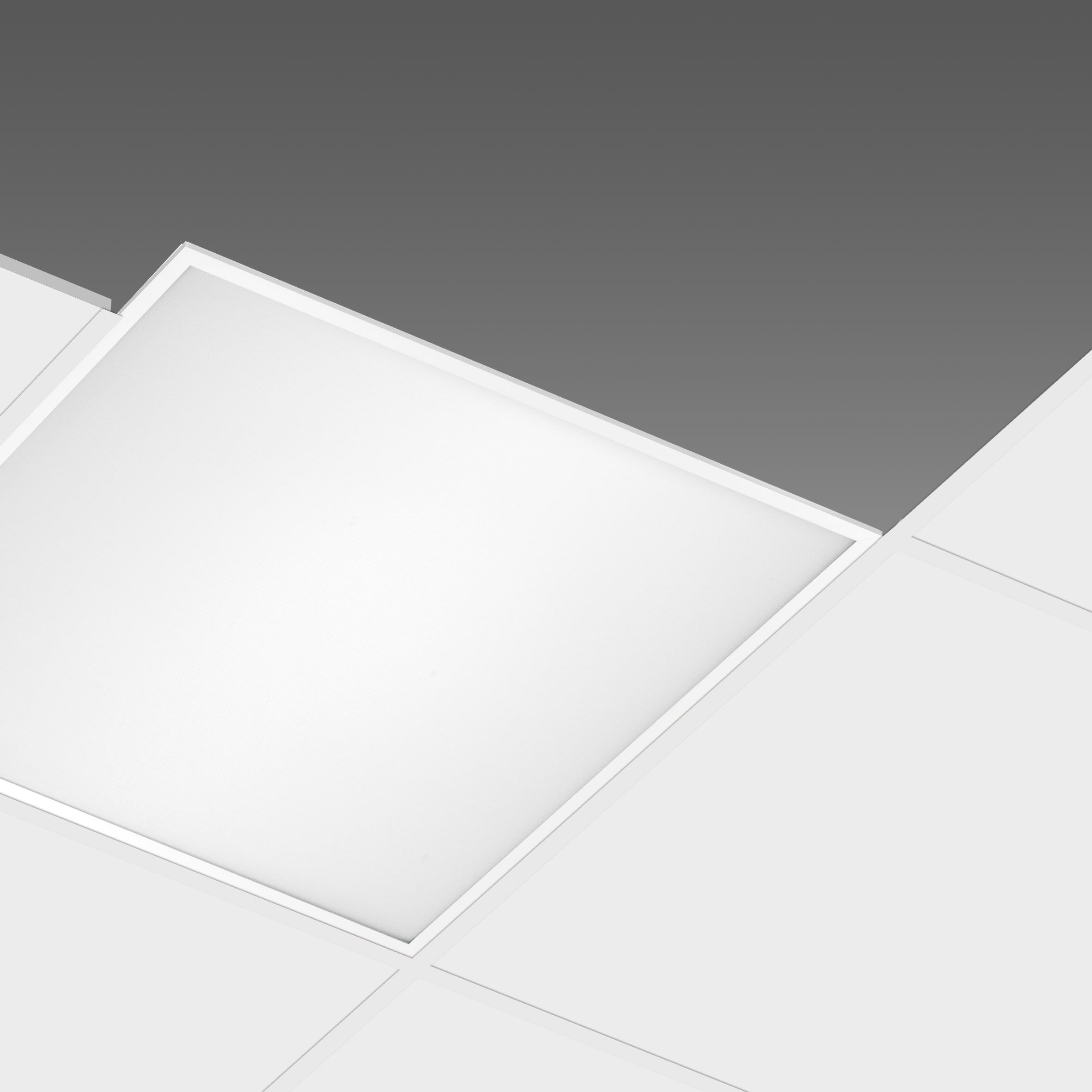 DISANO - DIS1502420041 RODI 830 LED 25W CLD-D-D BIANCO