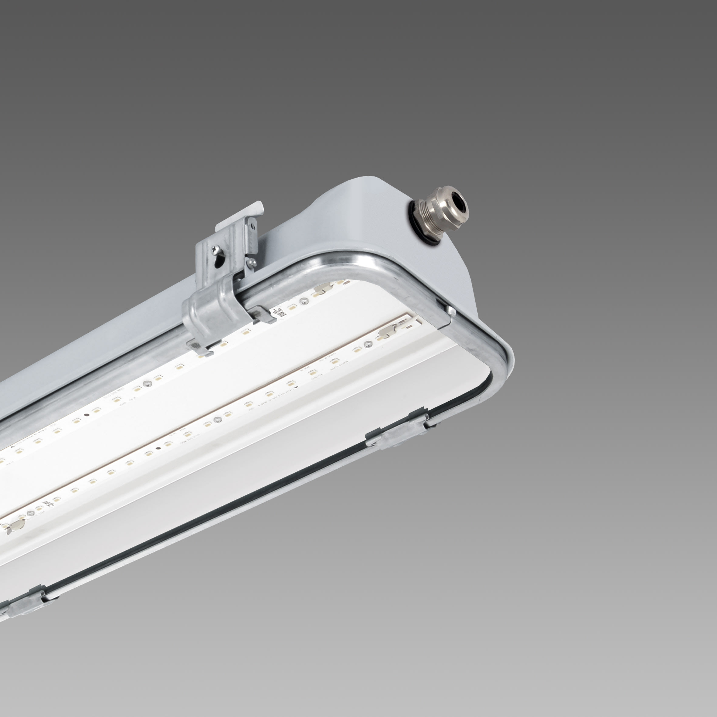 DISANO - DIS16249500 Forma ATEX - con vetro trasparente