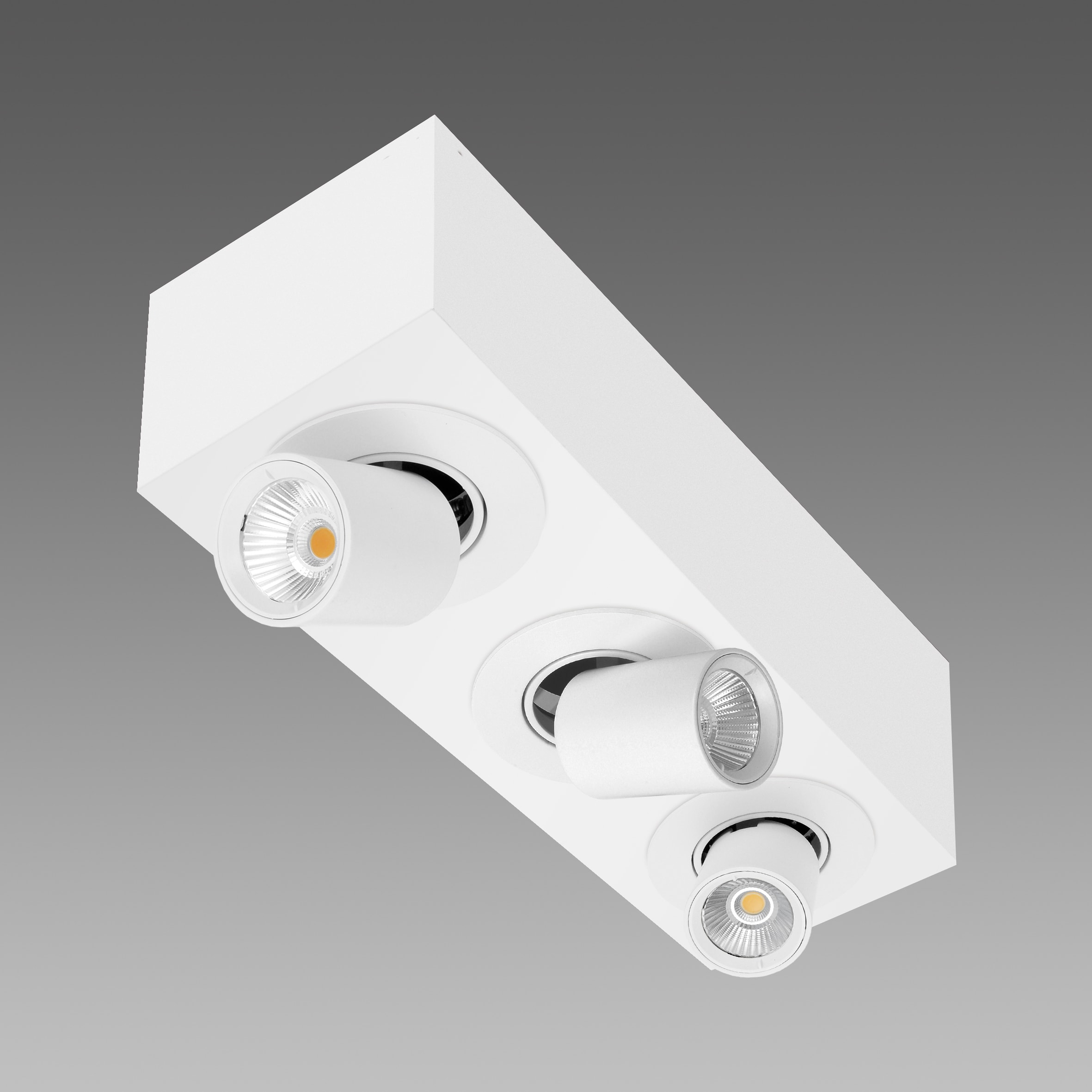 FOSNOVA - FOS2218941100 ASSO C 3 SMALL 1894 42W 26 CLD BIA