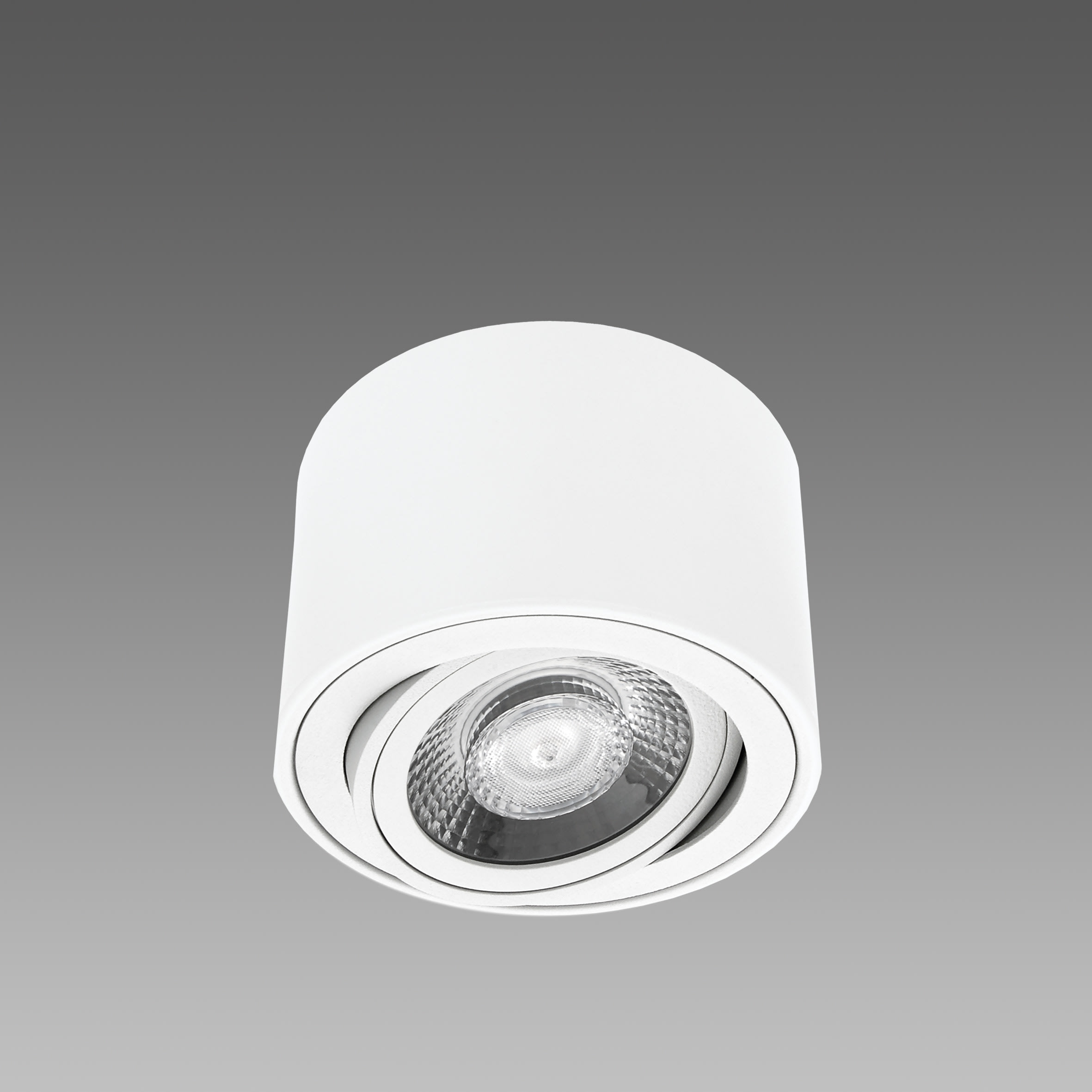 FOSNOVA - FOS220713701241 .THEMIS L165 0713 25W 3K CELLDD ARG