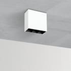 FOSNOVA - FOS2251010339 SPOT M3 5101 LED 6W 3K CLD S+L BIA