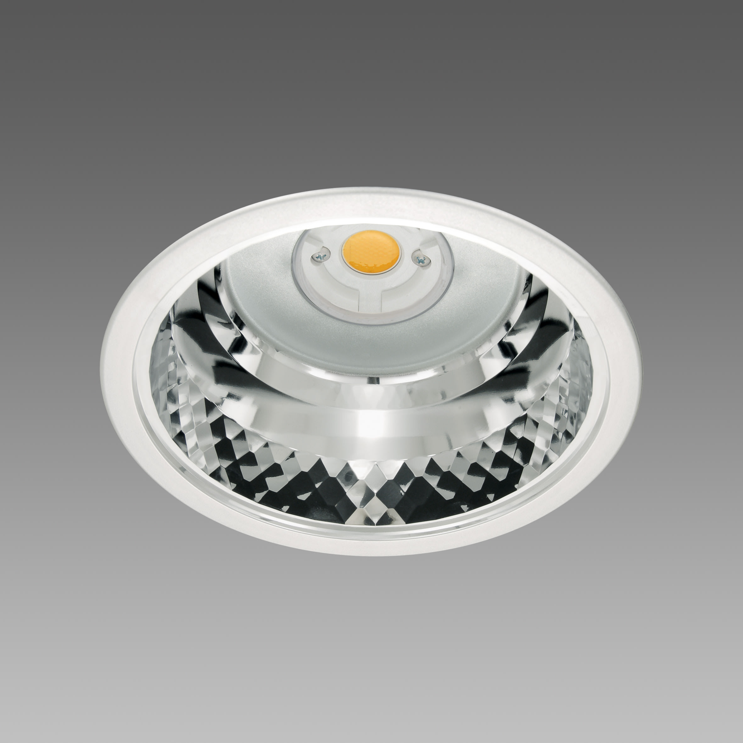 FOSNOVA - FOS221523731241 OFFICE 1 1523 COB 31W 4K CLD-D-D ARG