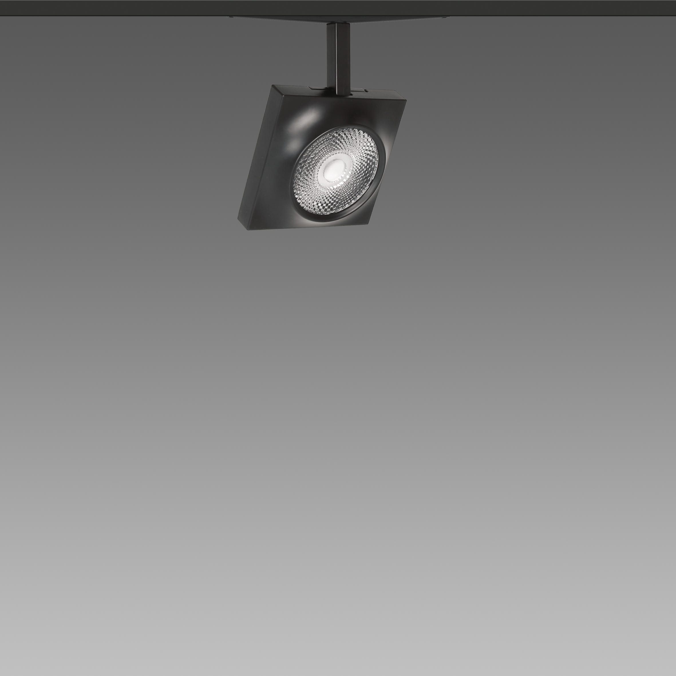 FOSNOVA - FOS221088336841 FOCUS S 70Q 1088 19W 4K CLDDD NER 48V