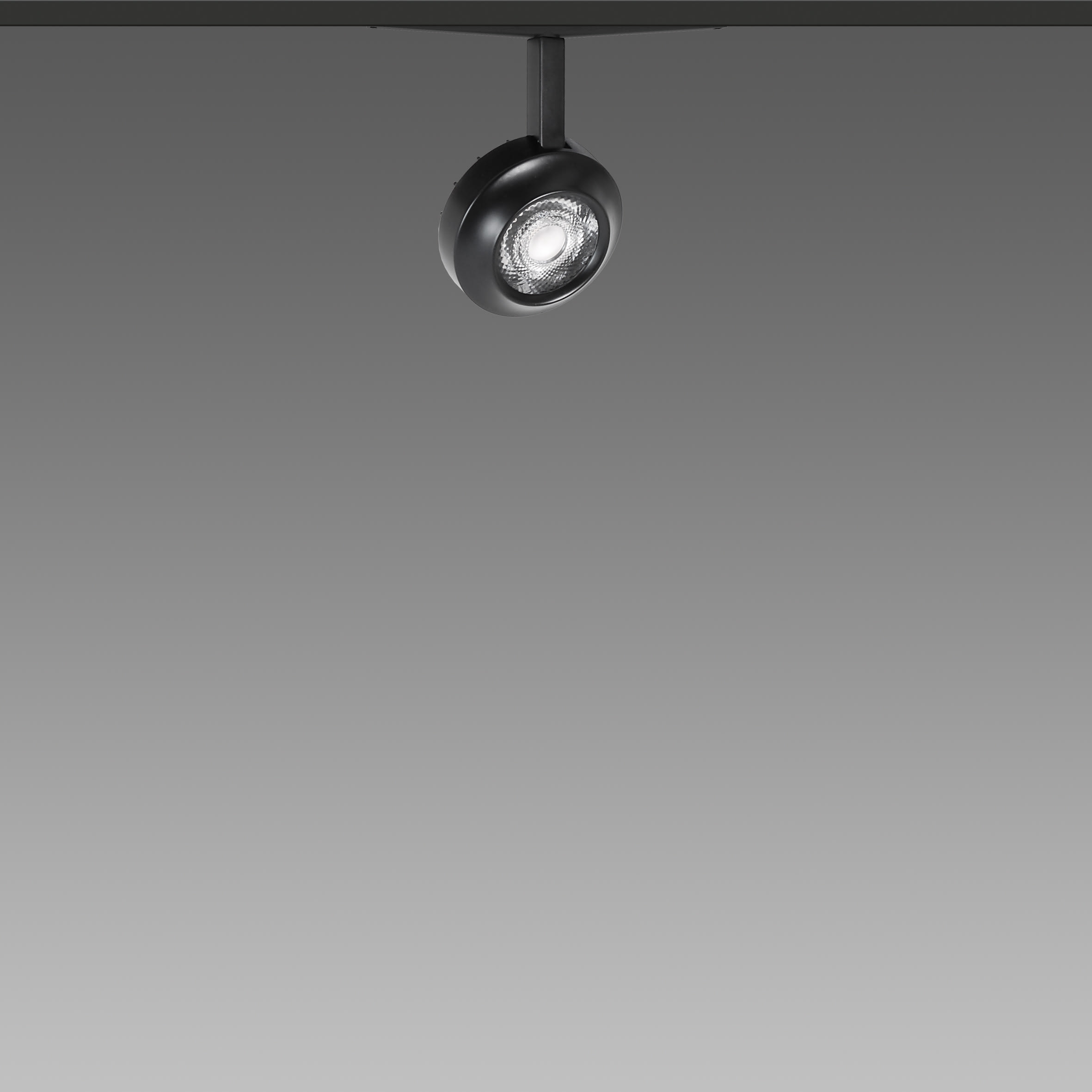 FOSNOVA - FOS221094111241 FOCUS S 50L 1094 14W 3K CLDDD BIA 48V