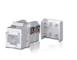 ITEM - IT260100 PRESA RJ45  U/UTP CAT. 6  BI