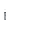 ITALWEBER SPA - ITW1421925 FUS SCH10 GG 25A 500V