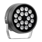 PERFORMANCE IN LIGHT - PRI3107378 TYK+ 30 81 C/M 927 AN96 DALI