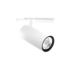 PERFORMANCE IN LIGHT - PRI3117282 XEPI90 31 C/M40 940 WH87 DALI