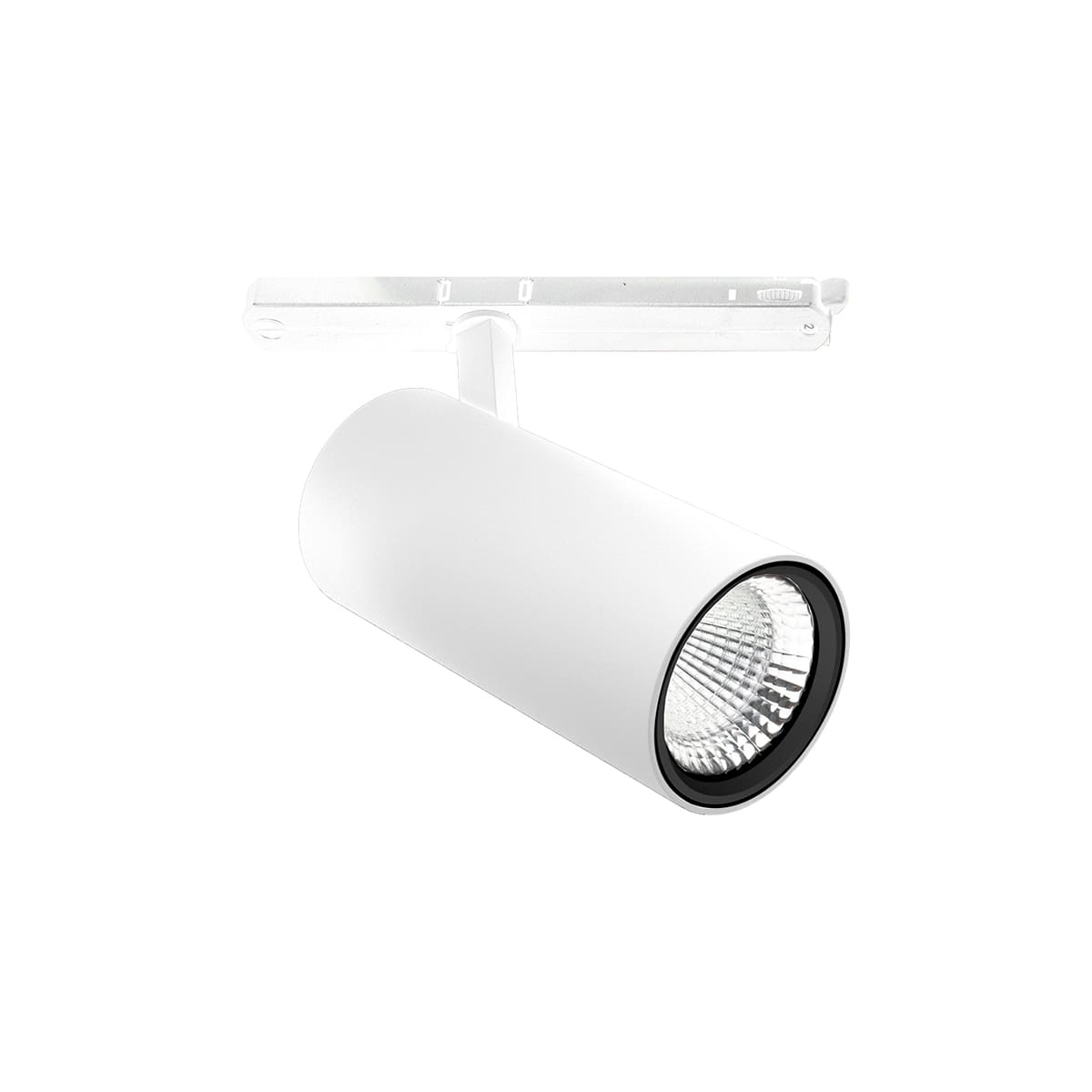 PERFORMANCE IN LIGHT - PRI3117275 XEPI90 31 C/I 940 WH87