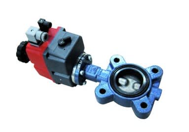 FERROLI - FRL052001X0 VALV.F.LUG ELET DN65(17603065)