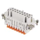 ILME - ILMJSHF 16 N FR.PR.16P17-32 SQUICH JEI