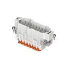 ILME - ILMJSHM 16 S FR.SP.16P SQUICH J. STAMP