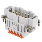 ILME - ILMJSHM 10 FR.SP.10 POLI SQUICH JEI