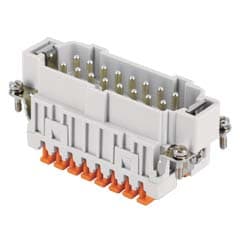 ILME - ILMJSHM 16 FR.SP.16 POLI SQUICH JEI