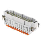 ILME - ILMJSHM 24 N FR.SP.24P25-48 SQUICH JEI