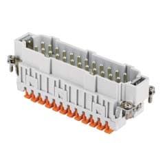 ILME - ILMJSHM 24 FR.SP.24 POLI SQUICH JEI