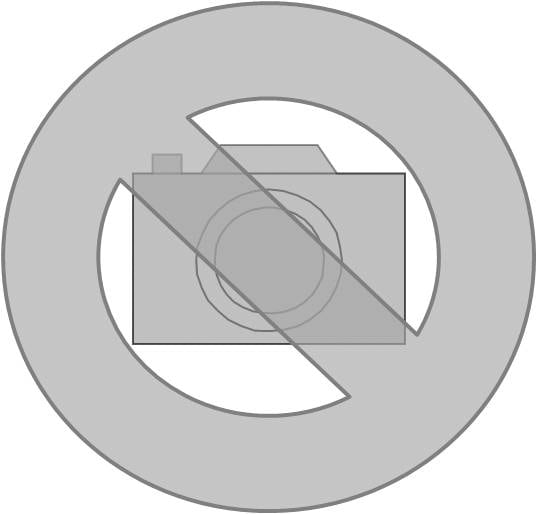 DIETZEL - DIE078585 Rinnendeckel, mit Drehriegel, 100x3000 m