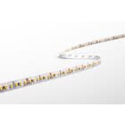 CENTURY ITALIA SRL - CUYAC95-0714460 STRIP LED ACCENTO PRO