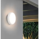 CENTURY ITALIA SRL - CUYPRKPES-163200 PLAFONIERA LED PRATIKA SENSOR-EMERG. 32