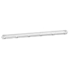 BOT LIGHTING SRL - BTLLD0WPF215 WPF2*1.5 PLAFONIERA STAGNA 1562MM VUOTA