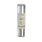 LEGRAND - LEG012001 FUSIBILI CILIND.-AM 8,5X31,5- 1A S/PERC.
