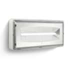 LINERGY SRL - LENCE2101 CRISTAL EVO 255LM SL IP65 SPY CENTER 24