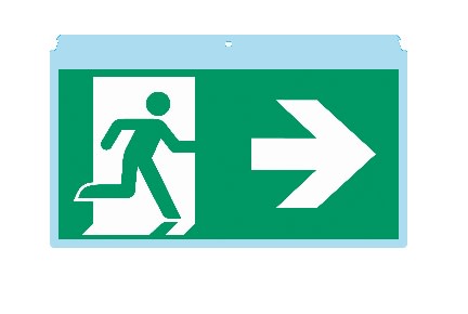 INTERNAZIONALE SRL - LIN5092 PITTOGRAMMA SERIE HP320 FRECCIA DESTRA -