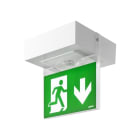 LINERGY SRL - LENA341 KIT BIFACCIALE SEGNALAZIONE VIALED MINI
