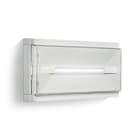 LINERGY SRL - LENPS2901 PRODIGY 120LM 1/1,5/2/3H SE IP65 CONNECT