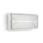 LINERGY SRL - LENPZ2501 PRODIGY XL 245LM SL IP65 SPY CONTROL