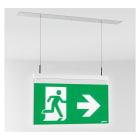LINERGY SRL - LENSU2001 SWING 30M SL IP30 SPY CENTER INCASSO