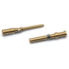 LAPP ITALIA SRL - LPP13162300 H-D SCEM AG 1.5 MALE CONTACT