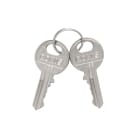 LOVATO - LOVLPXA170 COPPIA CHIAVI STANDARD RICAMBIO 455