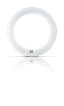 Philips - PBZ28513305 Actinic BL TL-E 22W/10 1CT/20