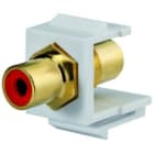 RUTENBECK - RUTN170 006 06 Keystone-Cinch rot, reinweiA