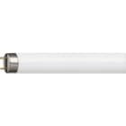 Philips - PBZ55874940 MASTER TL-D Super 80 1m 36W/830 SLV/25