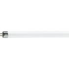 Philips - PBZ61568827 Leuchtstofflampe 4W 33 G5 D16/L135,9mm